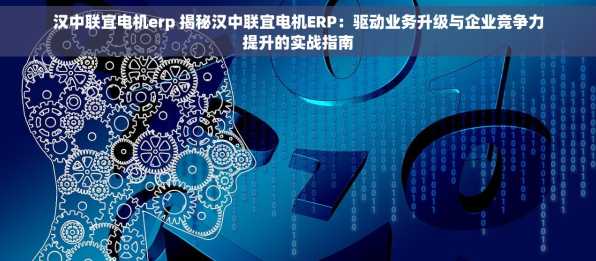 汉中联宜电机erp 揭秘汉中联宜电机ERP：驱动业务升级与企业竞争力提升的实战指南