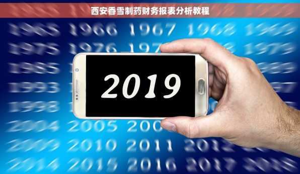 西安香雪制药财务报表分析教程