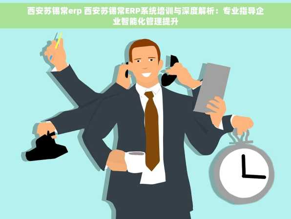 西安苏锡常erp 西安苏锡常ERP系统培训与深度解析：专业指导企业智能化管理提升