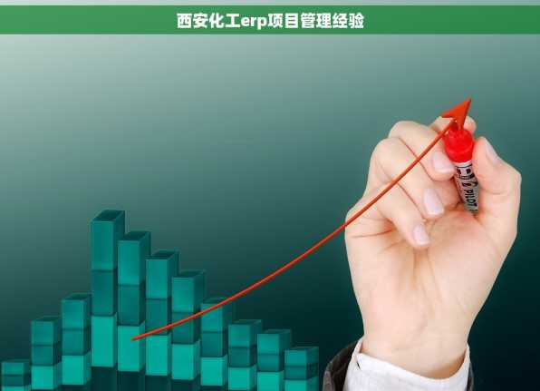 西安化工erp项目管理经验
