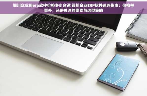 铜川企业用erp软件价格多少合适 铜川企业ERP软件选购指南：价格考量外，还需关注的要素与选型策略
