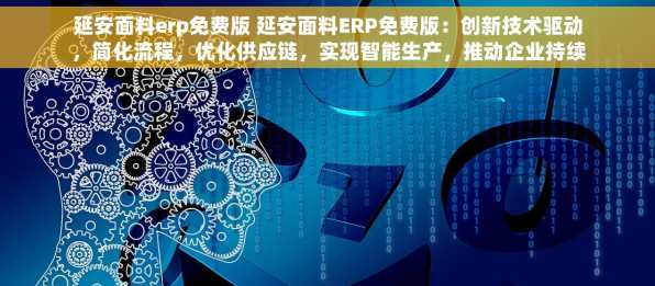 延安面料erp免费版 延安面料ERP免费版：创新技术驱动，简化流程，优化供应链，实现智能生产，推动企业持续发展