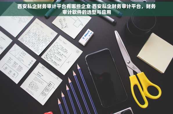 西安私企财务审计平台有哪些企业 西安私企财务审计平台，财务审计软件的选型与应用