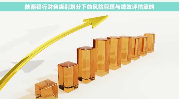陕西银行财务级别划分下的风险管理与绩效评估策略