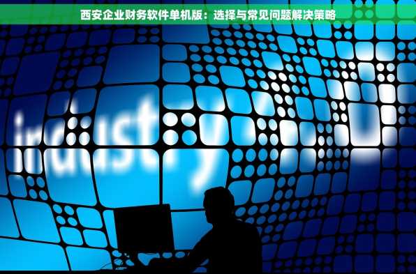 西安企业财务软件单机版：选择与常见问题解决策略