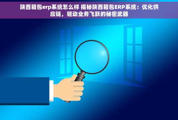 陕西箱包erp系统怎么样 揭秘陕西箱包ERP系统：优化供应链，驱动业务飞跃的秘密武器