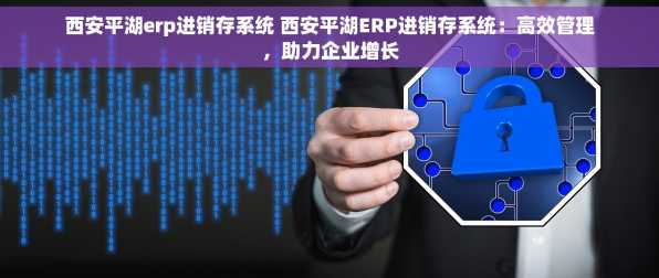 西安平湖erp进销存系统 西安平湖ERP进销存系统：高效管理，助力企业增长
