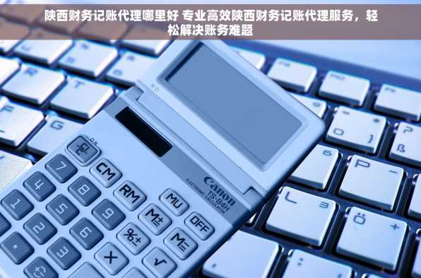 陕西财务记账代理哪里好 专业高效陕西财务记账代理服务，轻松解决账务难题
