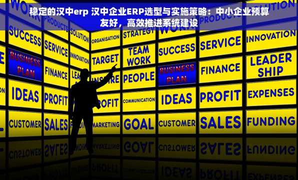 稳定的汉中erp 汉中企业ERP选型与实施策略：中小企业预算友好，高效推进系统建设