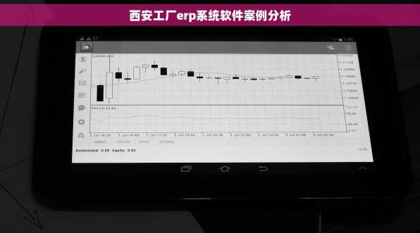 西安工厂erp系统软件案例分析