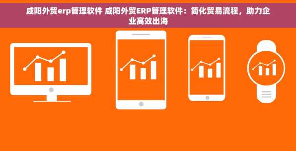 咸阳外贸erp管理软件 咸阳外贸ERP管理软件：简化贸易流程，助力企业高效出海