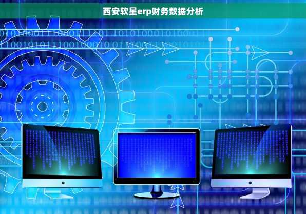 西安软星erp财务数据分析