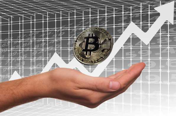 最新西安财务年报数据，探究企业盈利模式