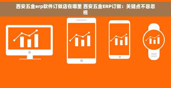 西安五金erp软件订做店在哪里 西安五金ERP订做：关键点不容忽视
