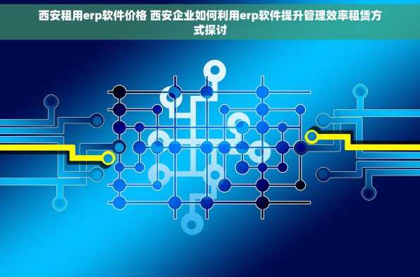 西安租用erp软件价格 西安企业如何利用erp软件提升管理效率租赁方式探讨