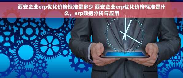 西安企业erp优化价格标准是多少 西安企业erp优化价格标准是什么，erp数据分析与应用