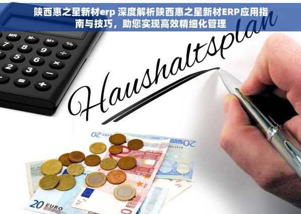 陕西惠之星新材erp 深度解析陕西惠之星新材ERP应用指南与技巧，助您实现高效精细化管理