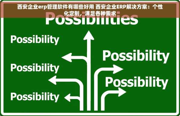 西安企业erp管理软件有哪些好用 西安企业ERP解决方案：个性化定制，满足各种需求