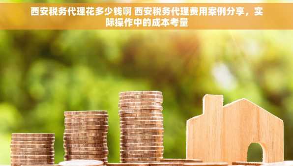 西安税务代理花多少钱啊 西安税务代理费用案例分享，实际操作中的成本考量