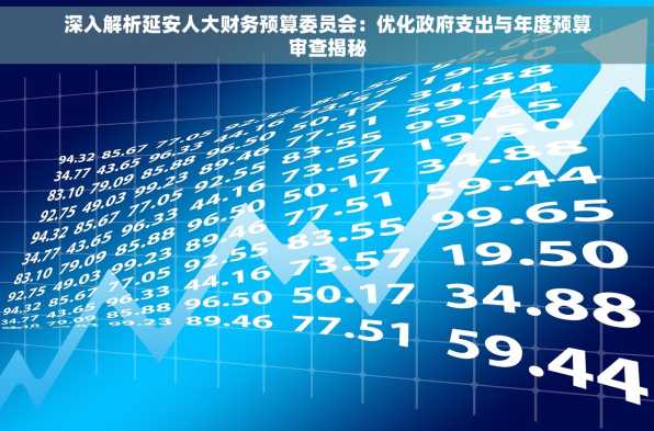 深入解析延安人大财务预算委员会：优化政府支出与年度预算审查揭秘