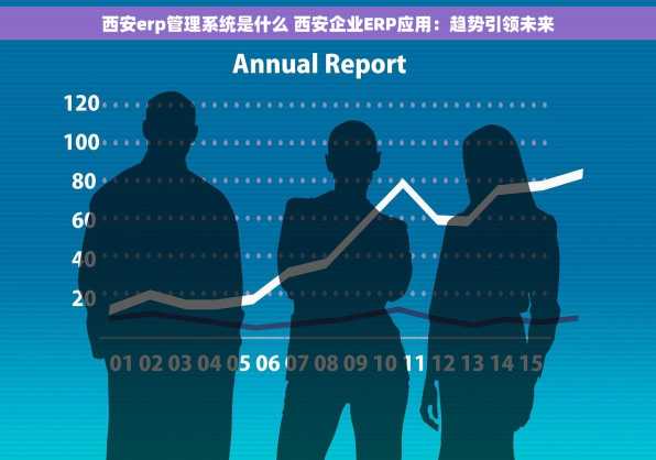 西安erp管理系统是什么 西安企业ERP应用：趋势引领未来