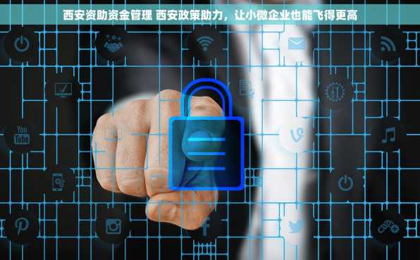 西安资助资金管理 西安政策助力，让小微企业也能飞得更高