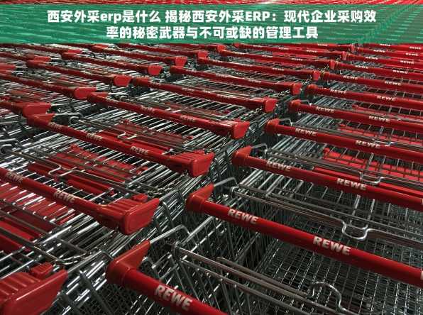 西安外采erp是什么 揭秘西安外采ERP：现代企业采购效率的秘密武器与不可或缺的管理工具