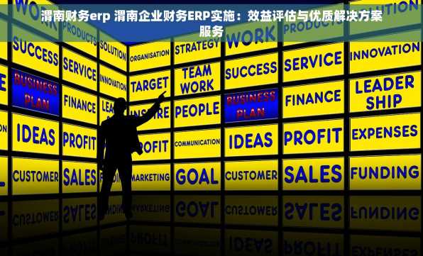 渭南财务erp 渭南企业财务ERP实施：效益评估与优质解决方案服务