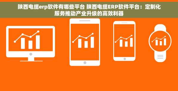 陕西电缆erp软件有哪些平台 陕西电缆ERP软件平台：定制化服务推动产业升级的高效利器