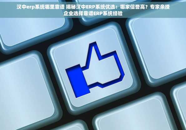 汉中erp系统哪里靠谱 揭秘汉中ERP系统优选：哪家信誉高？专家亲授企业选择靠谱ERP系统经验