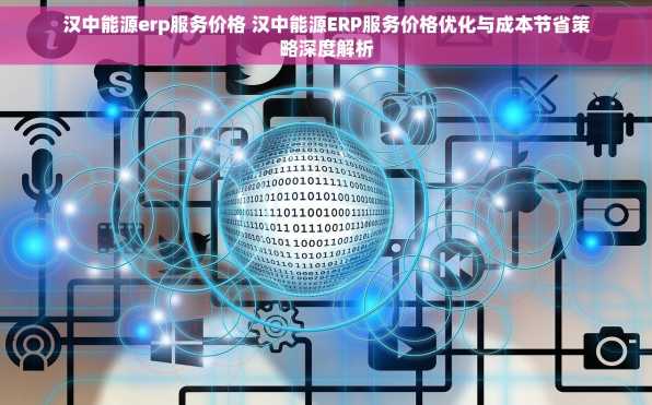 汉中能源erp服务价格 汉中能源ERP服务价格优化与成本节省策略深度解析