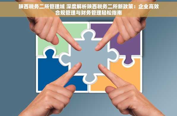 陕西税务二所管理域 深度解析陕西税务二所新政策：企业高效合规管理与财务管理轻松指南