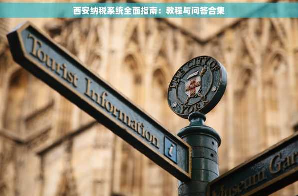 西安纳税系统全面指南：教程与问答合集