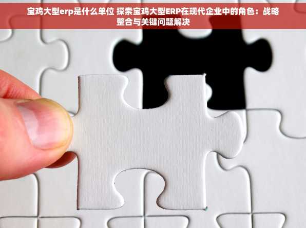 宝鸡大型erp是什么单位 探索宝鸡大型ERP在现代企业中的角色：战略整合与关键问题解决