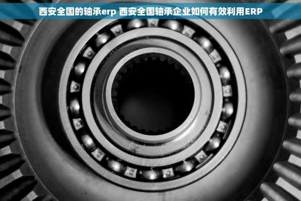 西安全国的轴承erp 西安全国轴承企业如何有效利用ERP