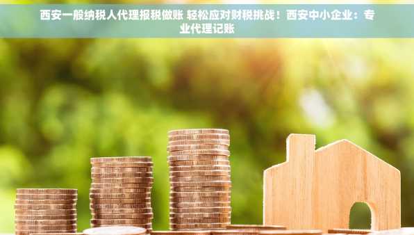 西安一般纳税人代理报税做账 轻松应对财税挑战！西安中小企业：专业代理记账