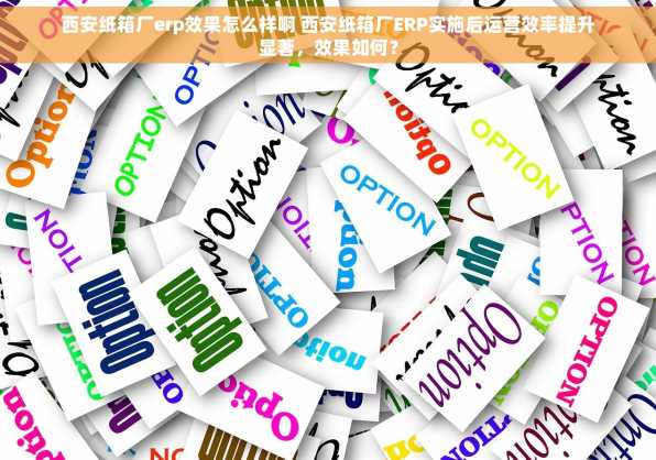 西安纸箱厂erp效果怎么样啊 西安纸箱厂ERP实施后运营效率提升显著，效果如何？