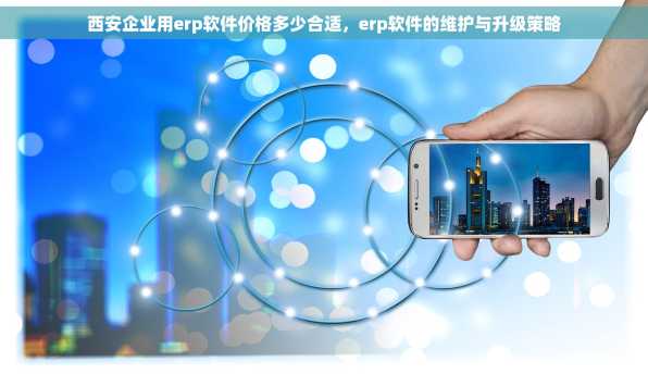 西安企业用erp软件价格多少合适，erp软件的维护与升级策略