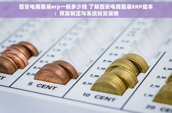 西安电商服装erp一般多少钱 了解西安电商服装ERP成本：预算制定与系统投资策略