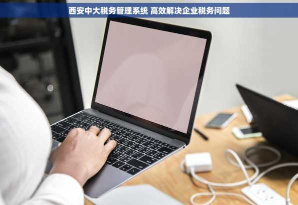 西安中大税务管理系统 高效解决企业税务问题