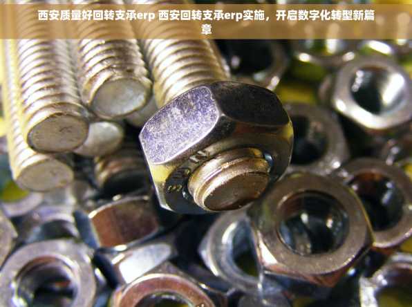 西安质量好回转支承erp 西安回转支承erp实施，开启数字化转型新篇章