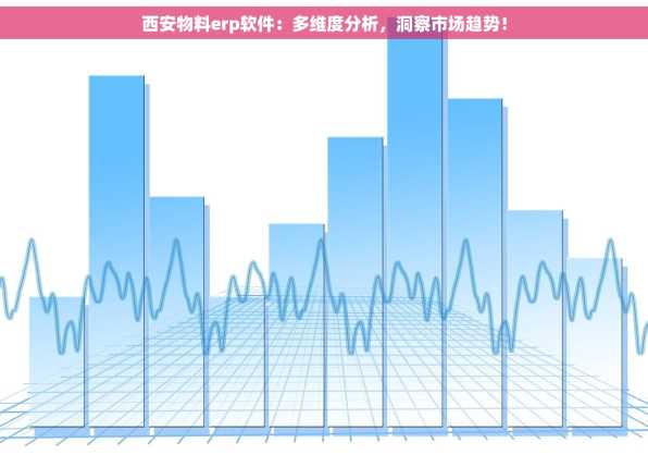 西安物料erp软件：多维度分析，洞察市场趋势！
