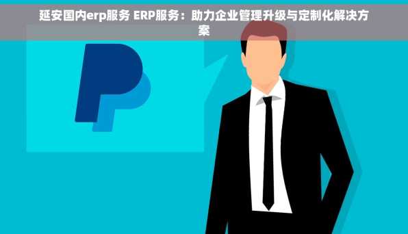 延安国内erp服务 ERP服务：助力企业管理升级与定制化解决方案