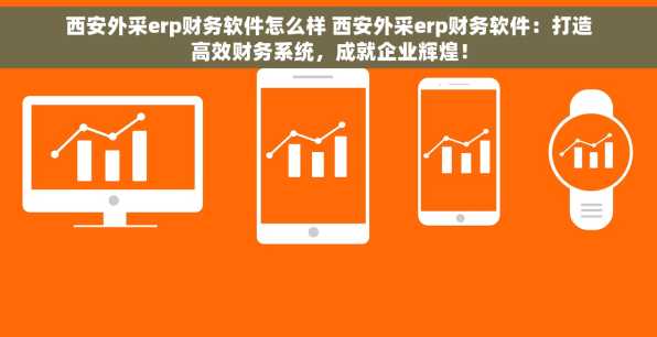 西安外采erp财务软件怎么样 西安外采erp财务软件：打造高效财务系统，成就企业辉煌！