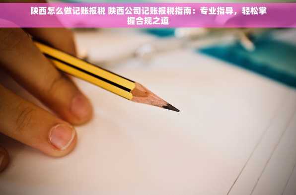 陕西怎么做记账报税 陕西公司记账报税指南：专业指导，轻松掌握合规之道
