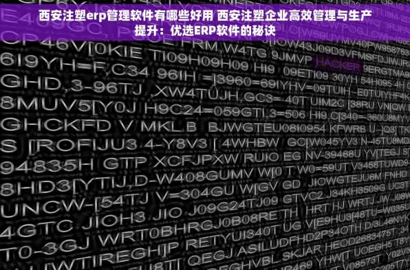 西安注塑erp管理软件有哪些好用 西安注塑企业高效管理与生产提升：优选ERP软件的秘诀