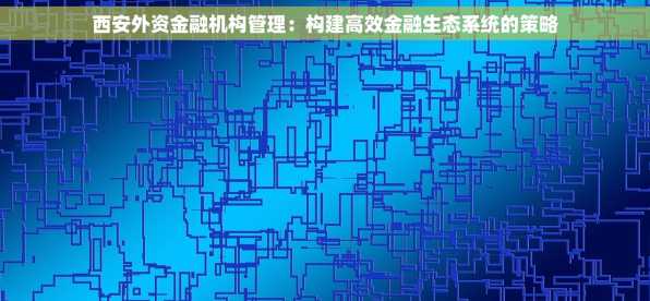 西安外资金融机构管理：构建高效金融生态系统的策略