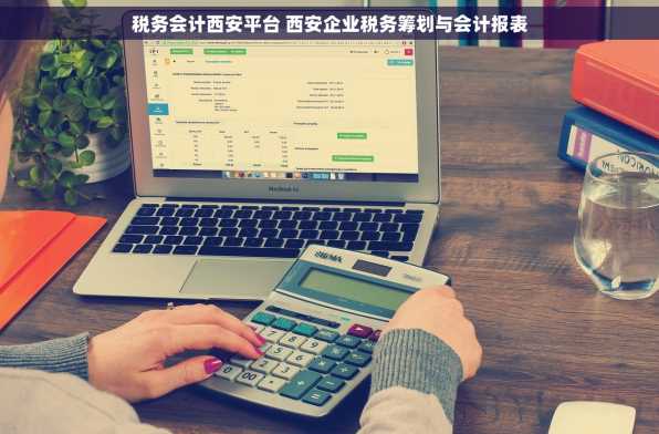 税务会计西安平台 西安企业税务筹划与会计报表