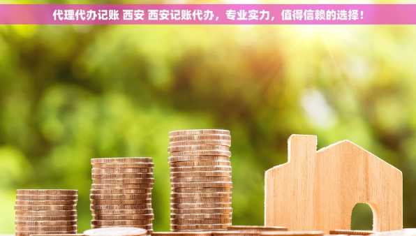 代理代办记账 西安 西安记账代办，专业实力，值得信赖的选择！