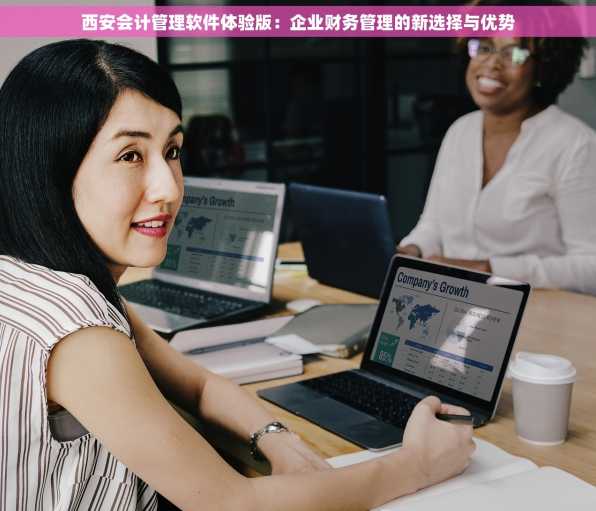 西安会计管理软件体验版：企业财务管理的新选择与优势